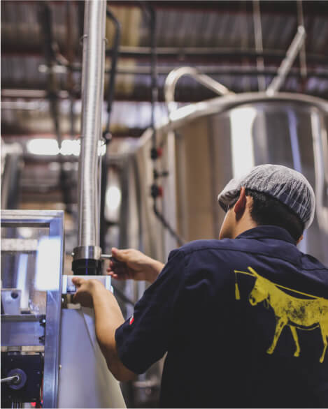 Tijuana Brewery